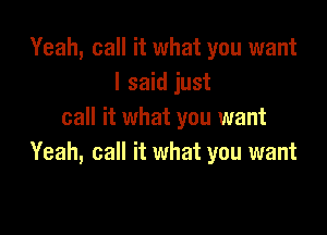 Yeah, call it what you want
I said just

call it what you want
Yeah, call it what you want