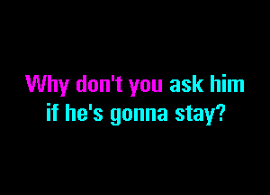Why don't you ask him

if he's gonna stay?