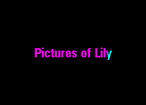 Pictures of Lily