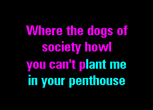 Where the dogs of
society howl

you can't plant me
in your penthouse