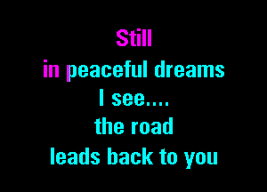 Still
in peaceful dreams

I see....
the road

leads hack to you