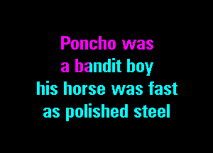 Poncho was
a bandit boy

his horse was fast
as polished steel