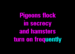 Pigeons flock
in secrecy

and hamsters
turn on frequently