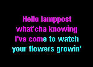 Hello Iamppost
what'cha knowing

I've come to watch
your flowers growin'