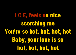 I c E, feels so nice
scorching me

You're so hot, hot, hot, hot
Baby, your love is so
hot, hot, hot, hot