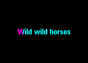 Wild wild horses