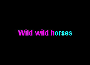 Wild wild horses