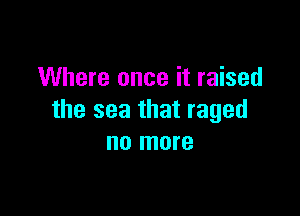 Where once it raised

the sea that raged
no more
