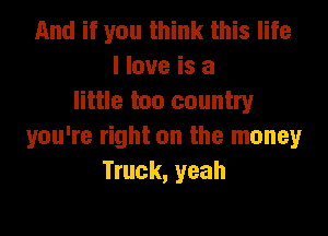 And if you think this life
I love is a
little too country

you're right on the money
Truck, yeah