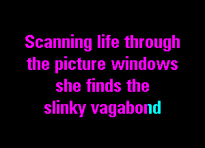 Scanning life through
the picture windows

she finds the
slinky vagabond