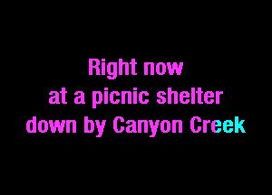 Right now
at a picnic shelter

down by Canyon Creek