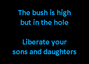 The bush is high
but in the hole

Liberate your
sons and daughters