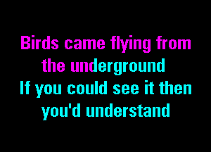 Birds came flying from
the underground

If you could see it then
you'd understand
