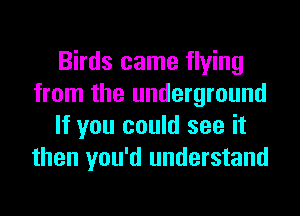 Birds came flying
from the underground
If you could see it
then you'd understand