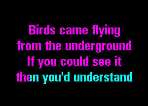 Birds came flying
from the underground
If you could see it
then you'd understand