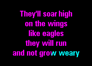They'll soar high
on the wings

like eagles
they will run
and not grow weary
