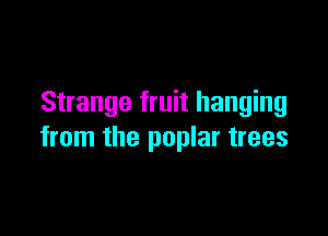 Strange fruit hanging

from the poplar trees