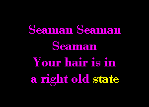Seaman Seaman
Seaman
Your hair is in
a right old state

g
