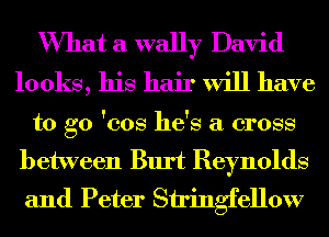 What a wally David
looks, his hair will have
to go 'cos he's a cross
between Burt Reynolds
and Peter Stringfellow