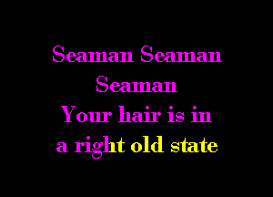 Seaman Seaman
Seaman
Your hair is in
a right old state

g