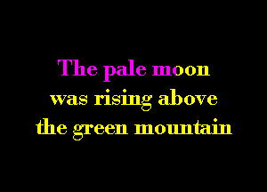 The pale moon
was rising above
the green mountain