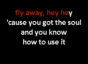 fly away, hey hey
'cause you got the soul

and you know
how to use it