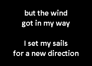 but the wind
got in my way

I set my sails
for a new direction
