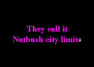 They call it

Nutbush city limits