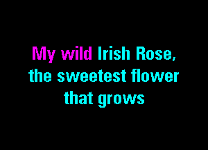 My wild Irish Rose,

the sweetest flower
that grows
