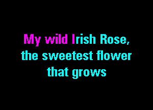 My wild Irish Rose,

the sweetest flower
that grows