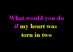 What would you do

if my heart was

torn in two