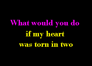 What would you do

if my heart
was torn in two