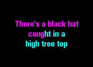 There's a black hat

caught in a
high tree top