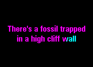 There's a fossil trapped

in a high cliff wall