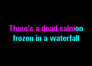 There's a dead salmon

frozen in a waterfall