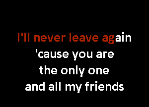 I'll never leave again

'cause you are
the only one
and all my friends
