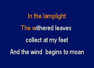 In the Iamplight
The withered leaves

collect at my feet

And the wind begins to moan