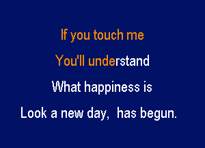 If you touch me
You'll understand

What happiness is

Look a new day, has begun.