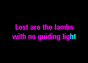Lost are the lambs

with no guiding light