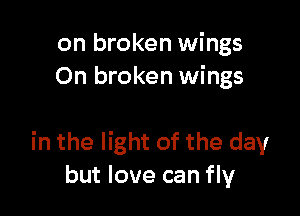 on broken wings
On broken wings

in the light of the day
but love can fly