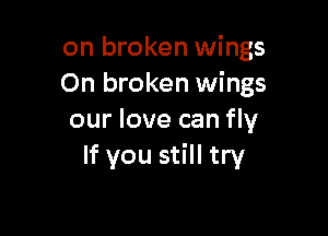 on broken wings
On broken wings

our love can fly
If you still try