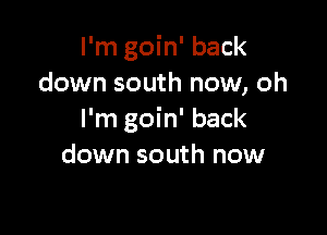 I'm goin' back
down south now, oh

I'm goin' back
down south now