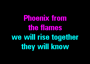Phoenix from
the flames

we will rise together
they will know