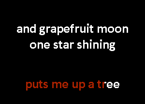 and grapefruit moon
one star shining

puts me up a tree