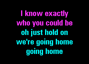 I know exactly
who you could be

oh just hold on
we're going home
going home