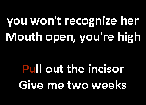 you won't recognize her
Mouth open, you're high

Pull out the incisor
Give me two weeks