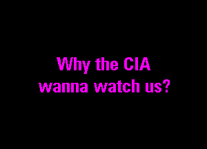 Why the CIA

wanna watch us?