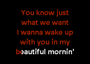 You know just
what we want

I wanna wake up
with you in my
beautiful mornin'