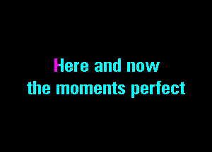 Here and now

the moments perfect