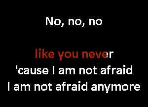 No, no, no

like you never
'cause I am not afraid
I am not afraid anymore